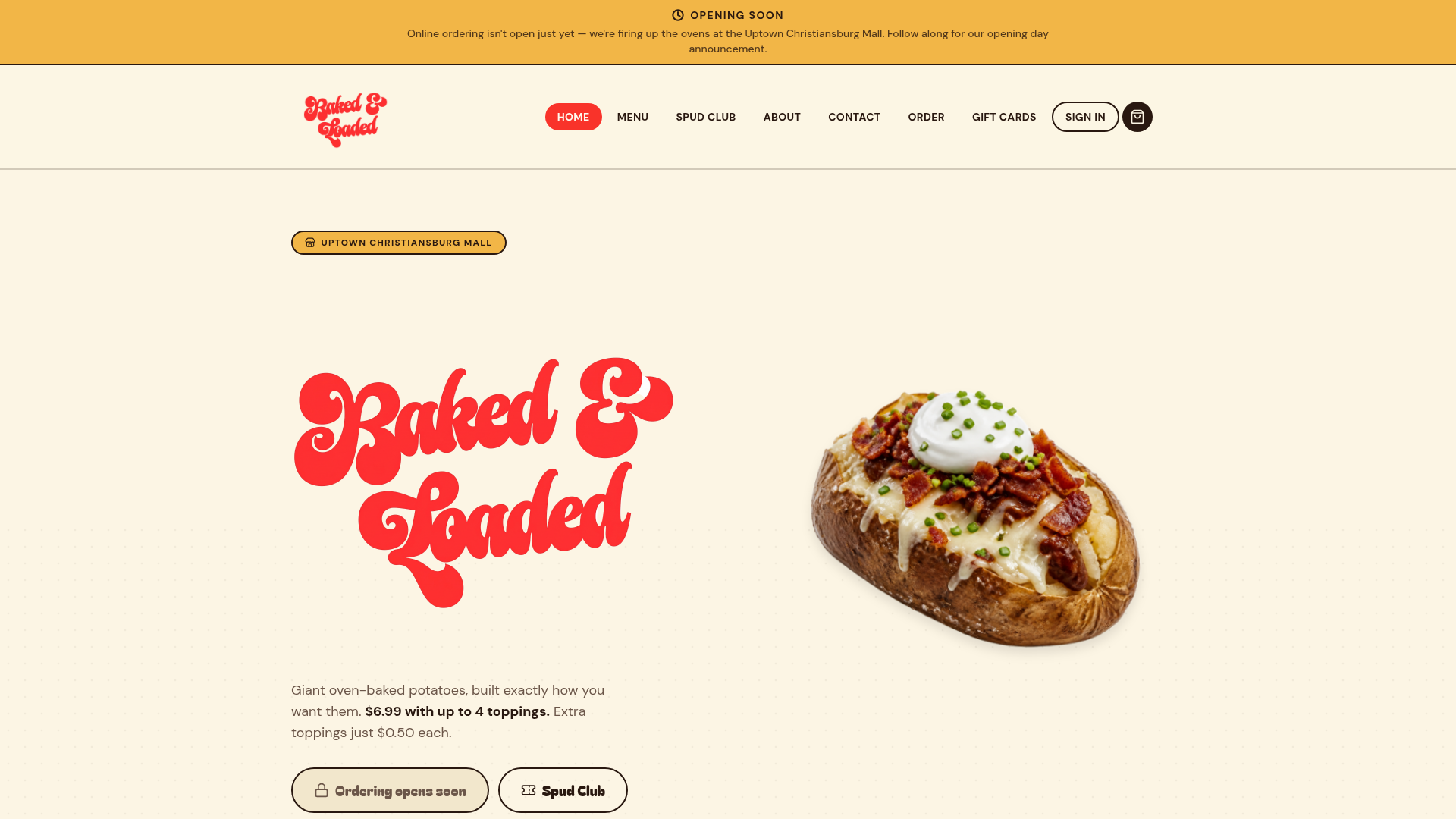 Baked & Loaded website preview
